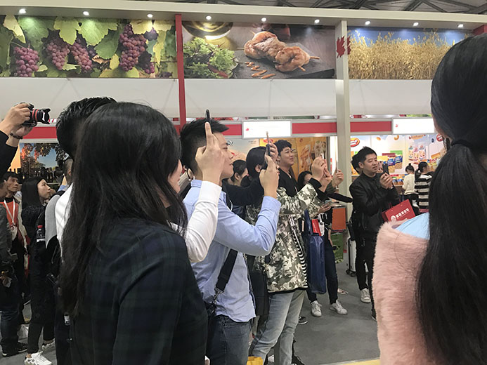 互動游戲，大屏互動游戲，手機互動游戲，小游戲定制，互動游戲開發